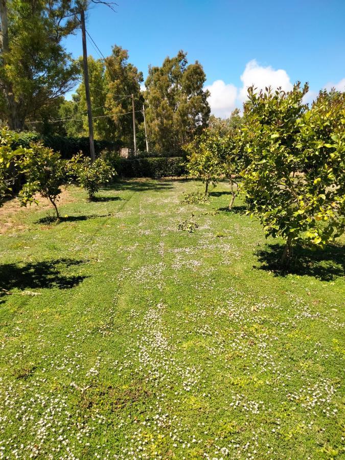 Agriturismo I Doni Del Mandorlo Alghero Exterior photo